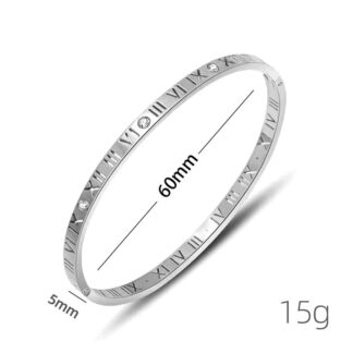 Stainless Steel Bangle – 100