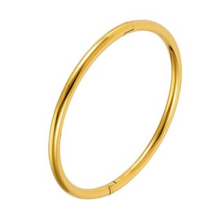 Stainless Steel Bangle – 138