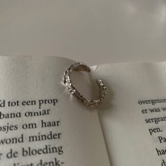 Silver-Containing Ring – 021