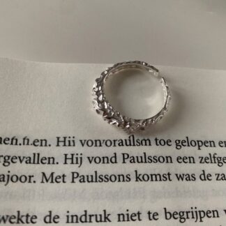 Silver-Containing Ring – 022