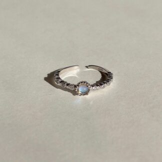 Silver-Containing Ring – 027