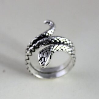 Silver-Containing Ring – 038