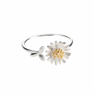 Silver-Containing Ring – 058