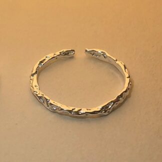 Silver-Containing Ring – 077