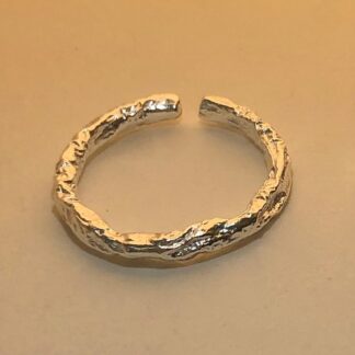 Silver-Containing Ring – 078