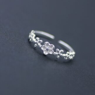 Silver-Containing Ring – 107