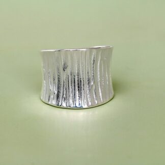 Silver-Containing Ring – 109