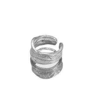 Silver-Containing Ring – 116