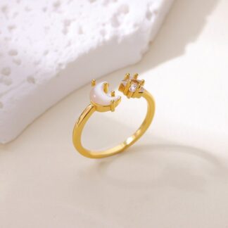 Stainless Steel Ring – 105