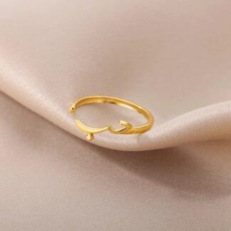 Stainless Steel Ring – 114