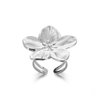 Stainless Steel Ring – 165