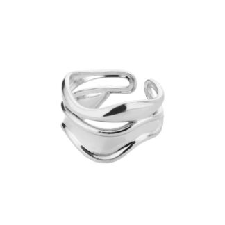 Stainless Steel Ring – 200