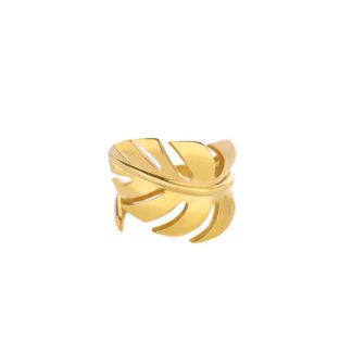 Stainless Steel Ring – 201